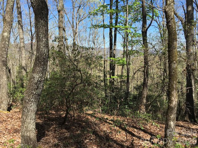 00 Lytle Mountain Road, Marion, NC 28752