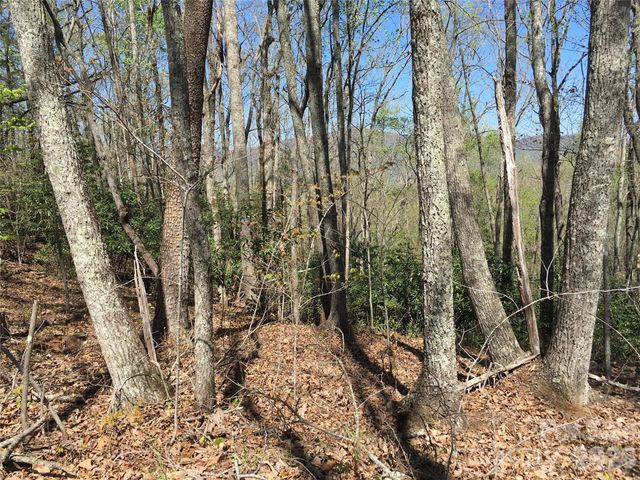 00 Lytle Mountain Road, Marion, NC 28752