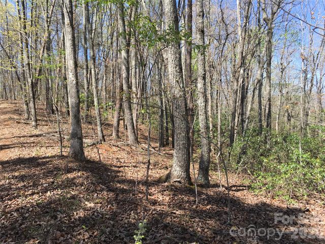 00 Lytle Mountain Road, Marion, NC 28752