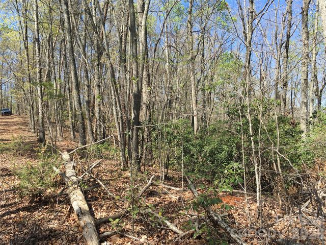 00 Lytle Mountain Road, Marion, NC 28752