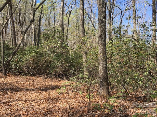 00 Lytle Mountain Road, Marion, NC 28752