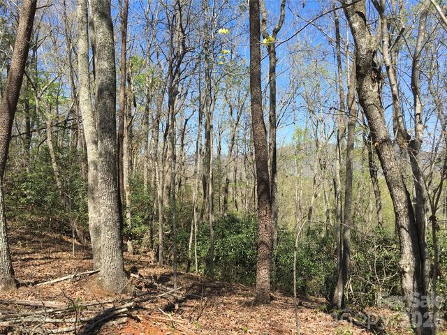 00 Lytle Mountain Road, Marion, NC 28752