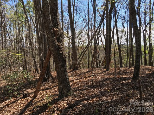 00 Lytle Mountain Road, Marion, NC 28752