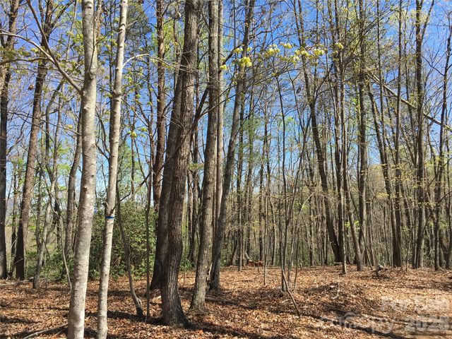 00 Lytle Mountain Road, Marion, NC 28752