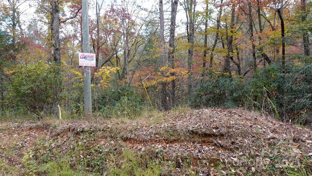 00 Lytle Mountain Road, Marion, NC 28752