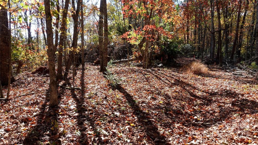 00 Lytle Mountain Road, Marion, NC 28752
