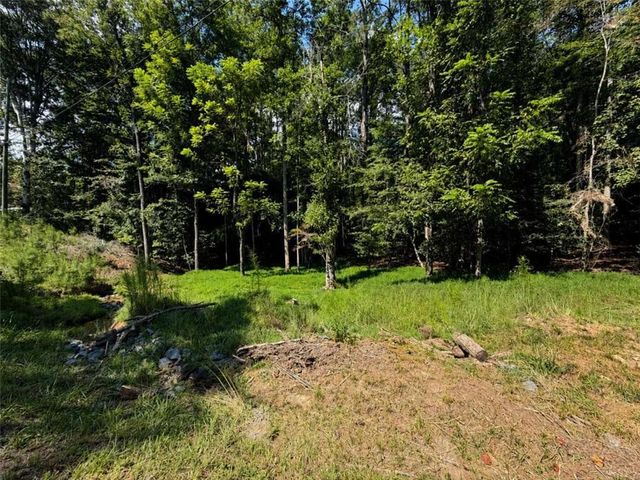 LT 880 Matrix Circle, Ellijay, GA 30540