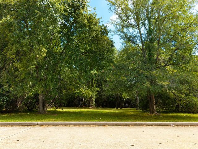 11737 Sagittarius W, Willis, TX 77318