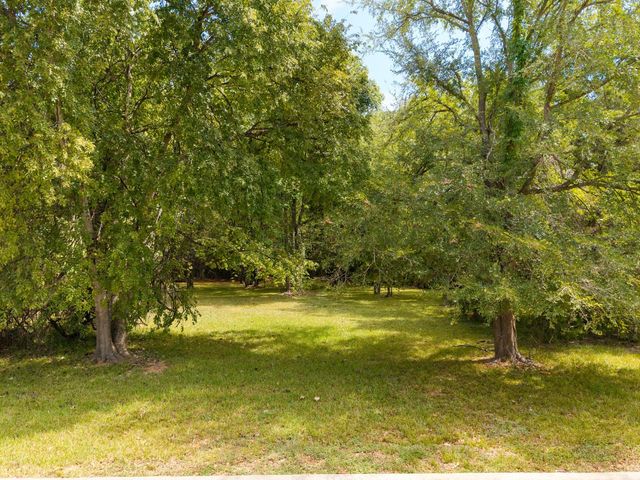 11737 Sagittarius W, Willis, TX 77318