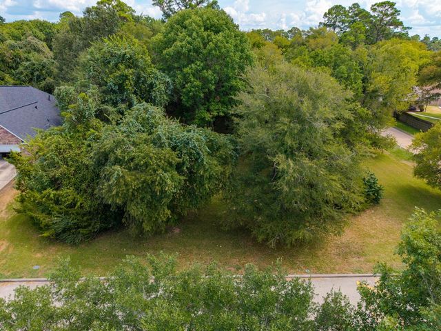 11737 Sagittarius W, Willis, TX 77318