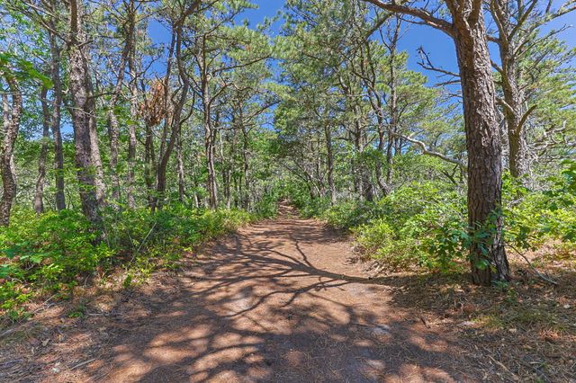 1100 Ocean View Drive, Wellfleet, MA 02667