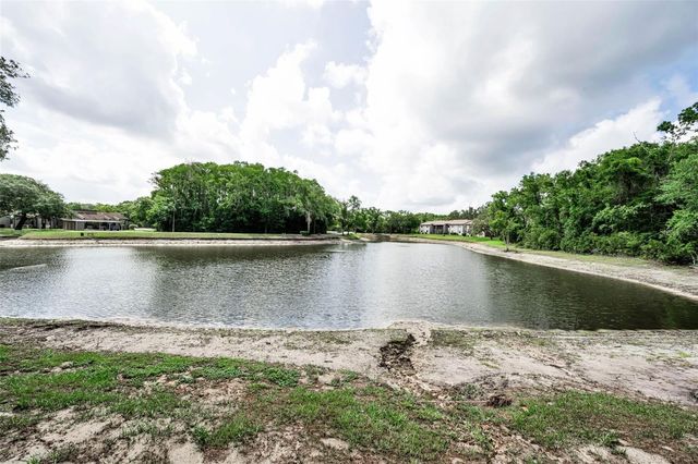 12025 PROCTOR LOOP 3, New Port Richey, FL 34654