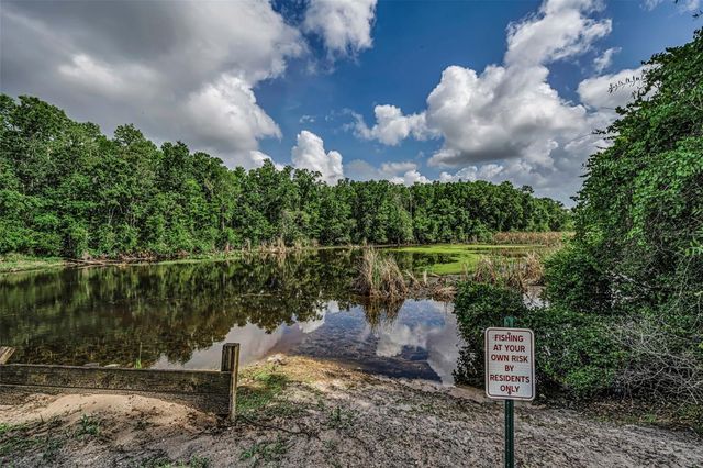 12025 PROCTOR LOOP 3, New Port Richey, FL 34654