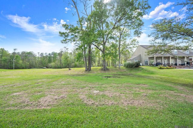 13224 Bayou Terrace Dr, St Amant, LA 70774