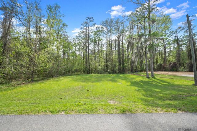 13224 Bayou Terrace Dr, St Amant, LA 70774