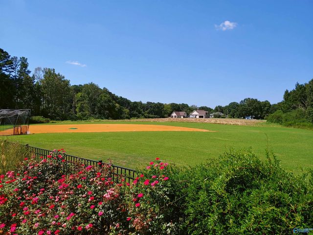 1920 Lasseter Road, Southside, AL 35907