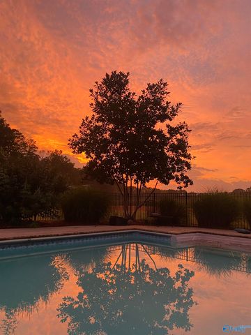 1920 Lasseter Road, Southside, AL 35907