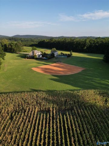 1920 Lasseter Road, Southside, AL 35907