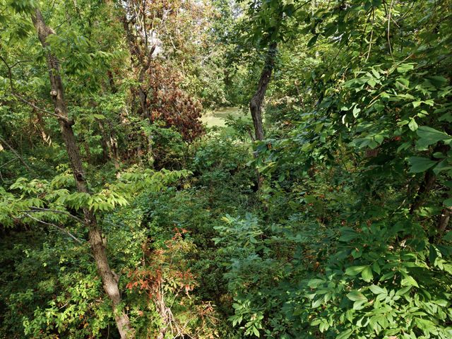 149 Mercer Avenue, Harrodsburg, KY 40330