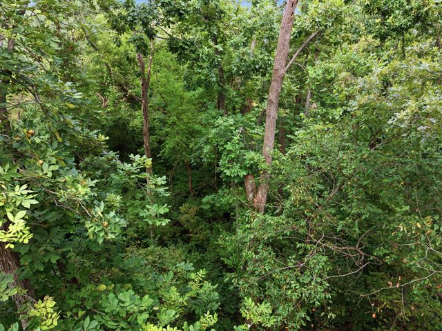 149 Mercer Avenue, Harrodsburg, KY 40330