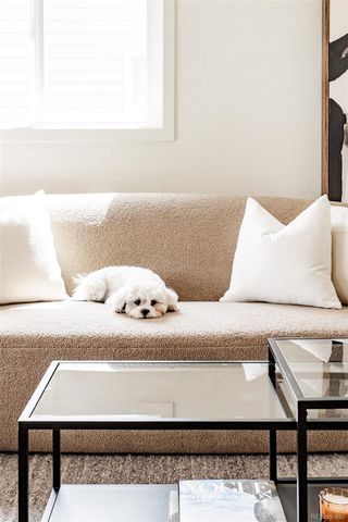 1973 Alton Street, Aurora, CO 80010