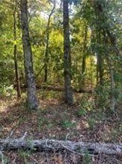 Letchworth Drive, Bella Vista, AR 72714