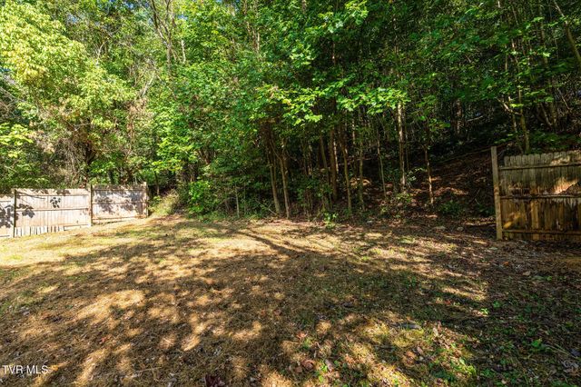 257 Shipp Springs Road, Kingsport, TN 37660