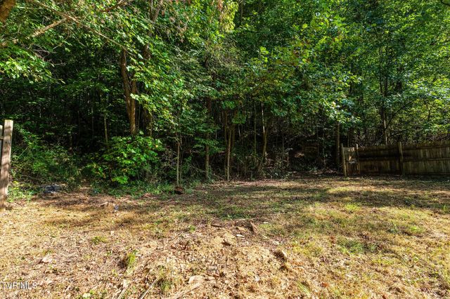 257 Shipp Springs Road, Kingsport, TN 37660