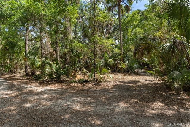 6946 E Channel Drive, Hernando, FL 34442
