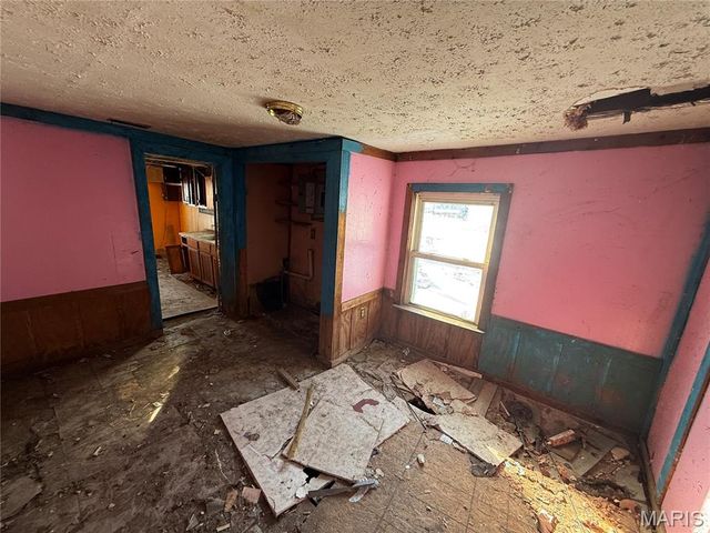 3669 Isolda Avenue, St Ann, MO 63074