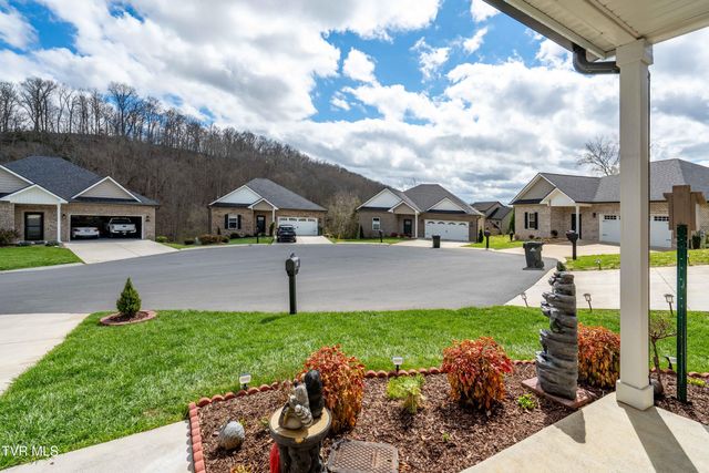 226 Quiet Stroll Lane, Gray, TN 37615
