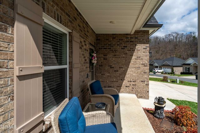 226 Quiet Stroll Lane, Gray, TN 37615