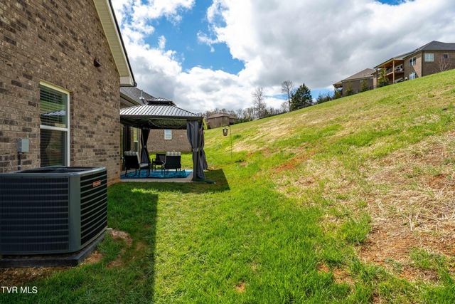 226 Quiet Stroll Lane, Gray, TN 37615