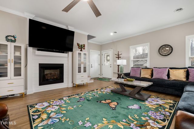 226 Quiet Stroll Lane, Gray, TN 37615