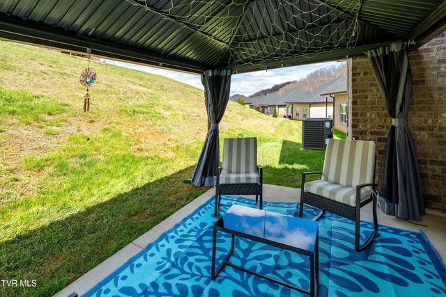 226 Quiet Stroll Lane, Gray, TN 37615