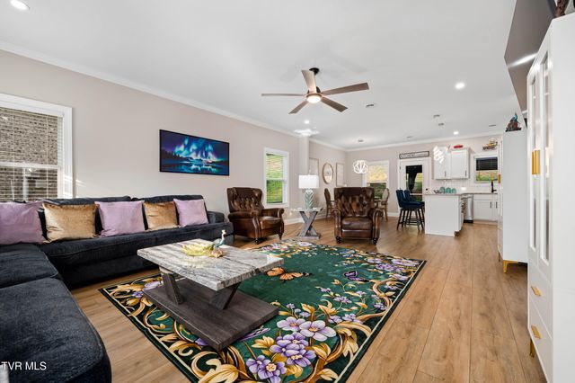 226 Quiet Stroll Lane, Gray, TN 37615