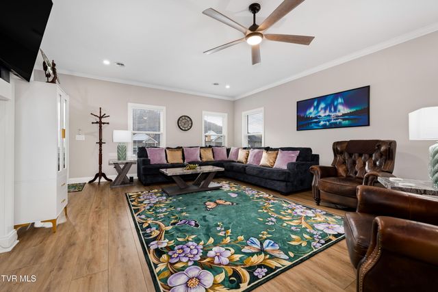 226 Quiet Stroll Lane, Gray, TN 37615