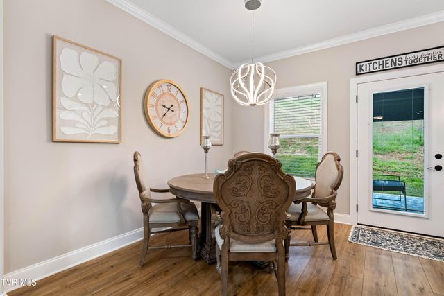 226 Quiet Stroll Lane, Gray, TN 37615