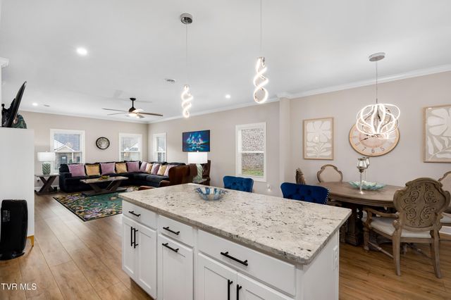 226 Quiet Stroll Lane, Gray, TN 37615