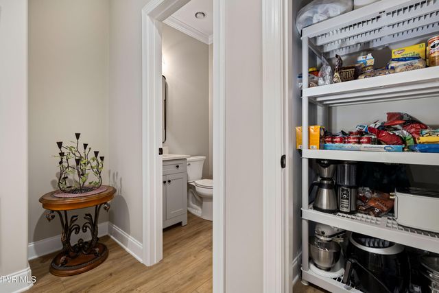 226 Quiet Stroll Lane, Gray, TN 37615