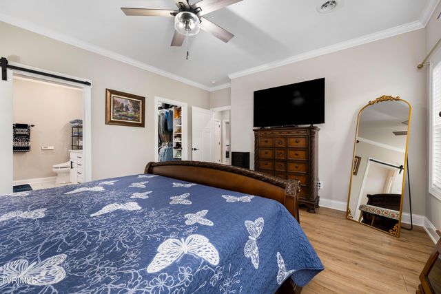 226 Quiet Stroll Lane, Gray, TN 37615