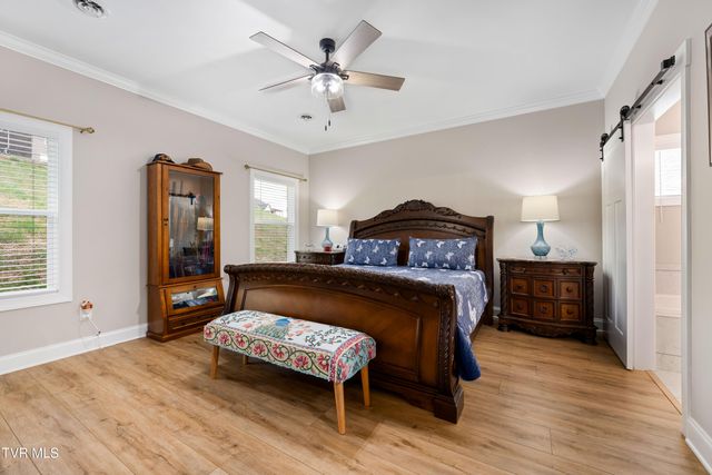 226 Quiet Stroll Lane, Gray, TN 37615