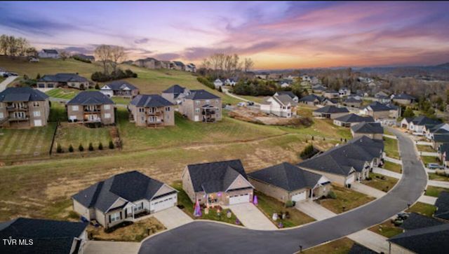 226 Quiet Stroll Lane, Gray, TN 37615