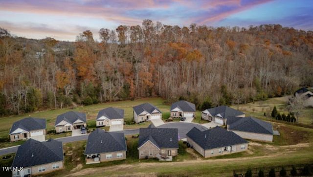 226 Quiet Stroll Lane, Gray, TN 37615