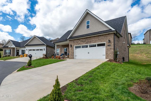 226 Quiet Stroll Lane, Gray, TN 37615