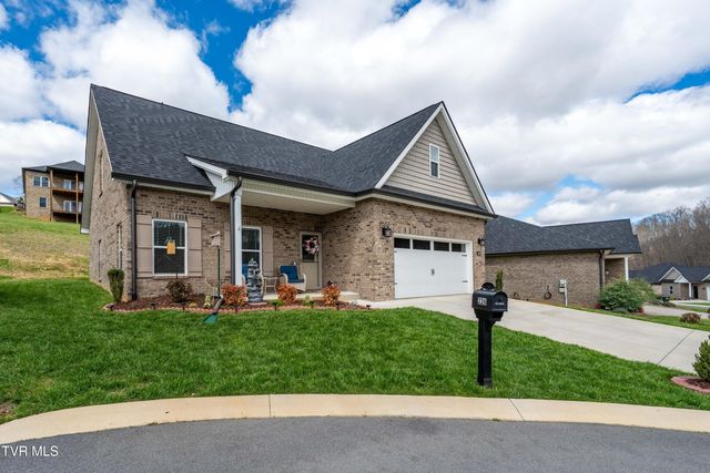 226 Quiet Stroll Lane, Gray, TN 37615