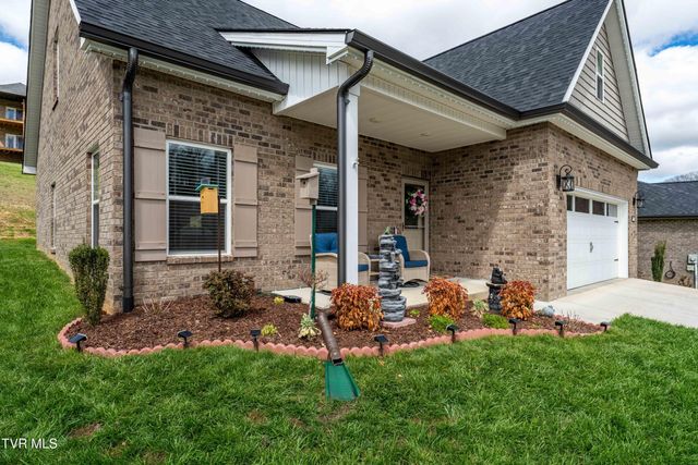 226 Quiet Stroll Lane, Gray, TN 37615