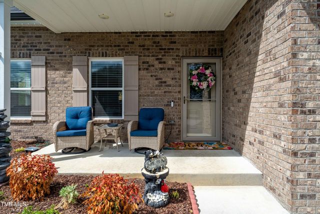 226 Quiet Stroll Lane, Gray, TN 37615