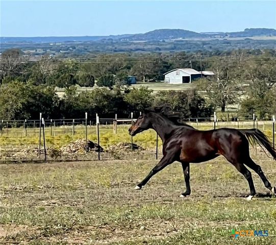 762 County Road 131, Gatesville, TX 76528