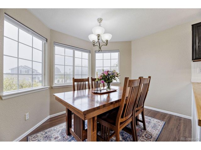 11120 Tamarron Dr, Parker, CO 80138